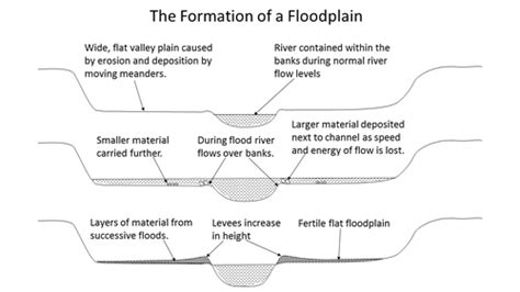 The formation of a Floodplain