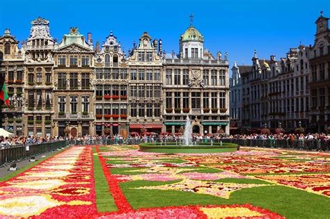 Brussels Flower Carpet: Ultimate Guide, 2024 Dates & Tips for Your Visit