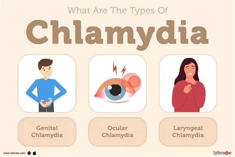 Chlamydia: Causes, Symptoms, Treatments And More