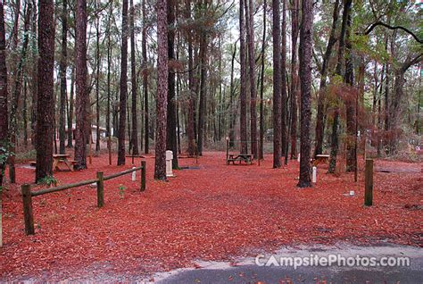 Suwannee River State Park - Campsite Photos, Info & Reservations