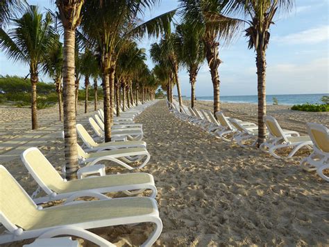 Lounging at the beach at the new Riu Dunamar | Vacation, Water park ...