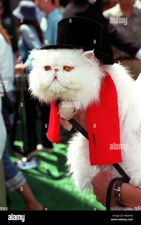 MR.TINKLES 'CATS & DOGS' FILM PREMIERE HOLLYWOOD LOS ANGELES USA 21 ...