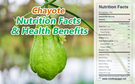 Chayote fruit Nutrition Facts and Health Benefits - CookingEggs