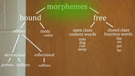 What are English morphemes, and why do they matter for spelling ...