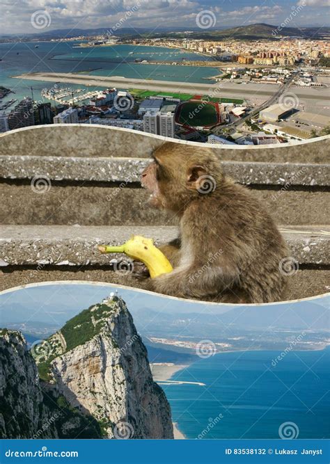 Collage of Gibraltar My Photos Stock Photo - Image of mountain, location: 83538132