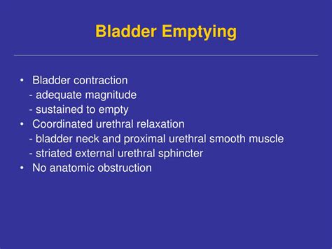 PPT - Practical Approaches to The Management of Overactive Bladder PowerPoint Presentation - ID ...