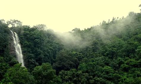 Ananthagiri Hills Transformed into "Telangana's Ooty" Amidst Heavy Rains and Enchanting Waterfalls