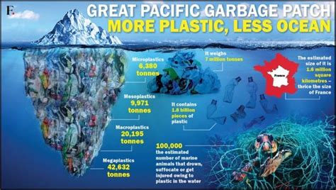 Plastic Home: How the Great Pacific Garbage Patch is now thriving with life – Firstpost