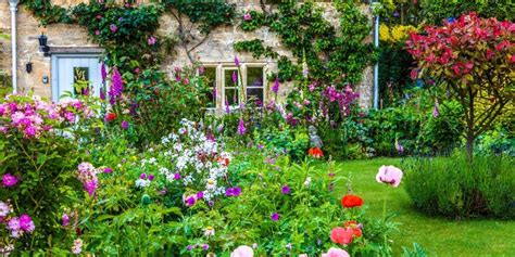 How to grow a cottage garden