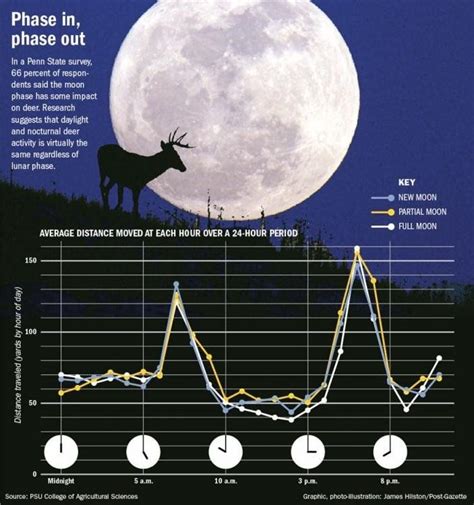 Deer Movement Moon Phase Calendar Graphics | Moon phase calendar, Moon ...