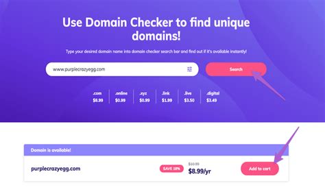 What Are Options for Domain Registration All About? The Complete Guide