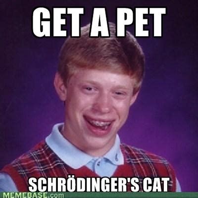 [Image - 344704] | Schrodinger's Cat | Know Your Meme