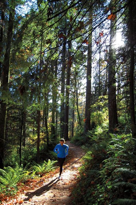 Best runs in Forest Park, Portland | Forest park portland, Forest park, Forest trail