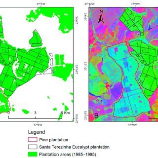 (A) Classification of forest plantation areas in the pilot area during ...