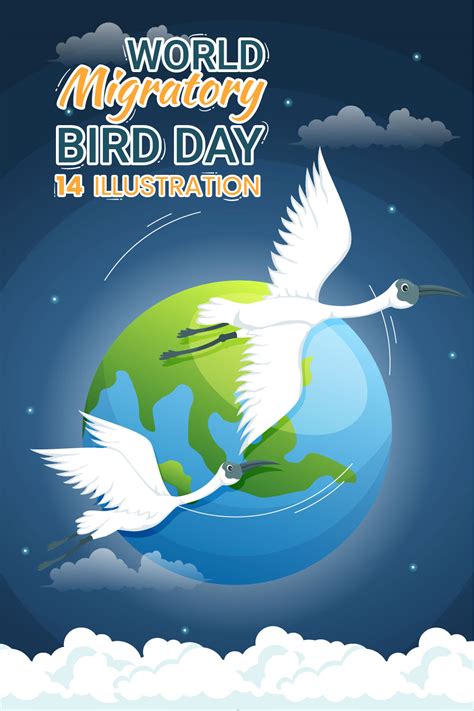 14 World Migratory Bird Day Illustration - MasterBundles