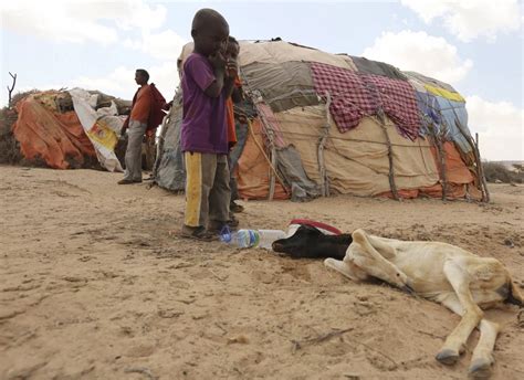 Somalia “famine”: another form of genocide | Mary Scully Reports