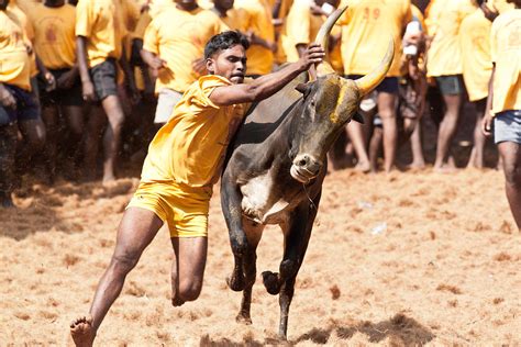 பண்டைய தமிழர் விளையாட்டு - இனிது