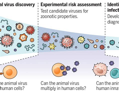 Identifying animal viruses in humans | Science