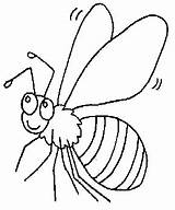 Fly Image For Children Coloring Pages  Cool sketch template