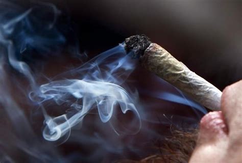 ONTARIO: Sorry, weed smokers: Marijuana psychosis is real, researcher says - TBNewsWatch.com