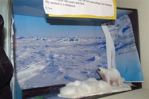 Polar Bear Habitat Diorama | Polar Bear Diorama | arctic wonder | Pinterest | Bear habitat ...