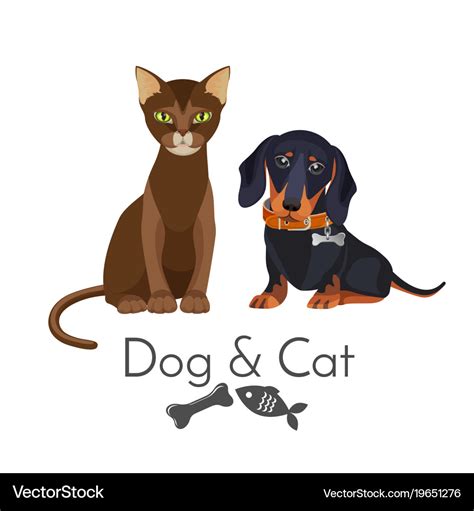 Dog and cat of pure breed promotional poster Vector Image