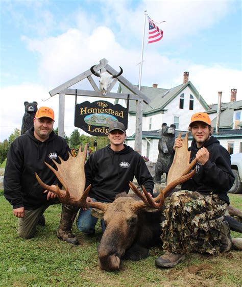 Moose Hunting Outfitter Maine | Guided Moose Hunts | Homestead Lodge