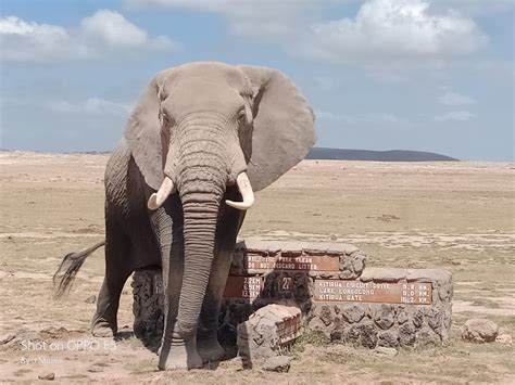 Amboseli National Park