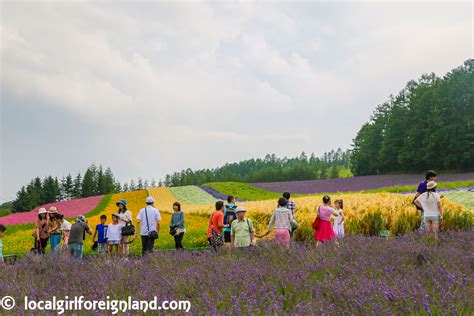 Farm Tomita, Hokkaido Japan – Local Girl Foreign Land