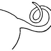 Curling of the dog's tail. | Download Scientific Diagram