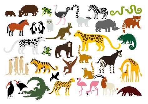 Rebecca Sutherland: Marwell Zoo Animals and Map