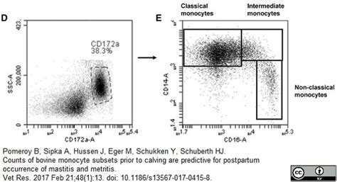 Anti Human CD16 Antibody, clone KD1 | Bio-Rad Antibodies (formerly AbD Serotec)