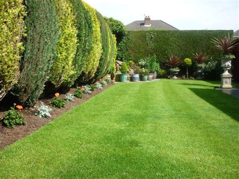 This lawn at the back of a semi-detached property was built by it’s owner. The grass suffered ...