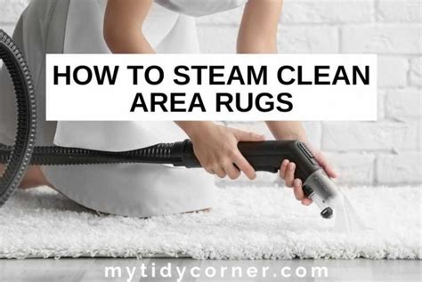 How to Steam Clean Area Rugs - DIY Step-by-Step Guide