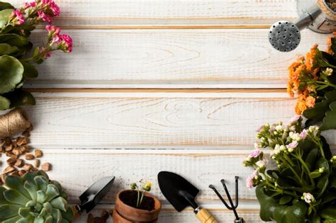 Free Photo | Frame of flowers and tools