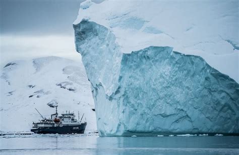 35+ Incredible Iceberg Alley Facts | Kidadl