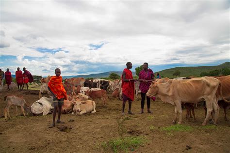 MAASAI FOOD CULTURE | Chefs In Africa