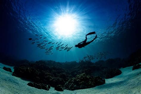 Cool underwater photography – Vuing.com