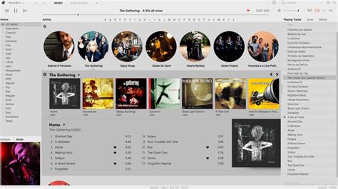 Download MusicBee 3.3.7491