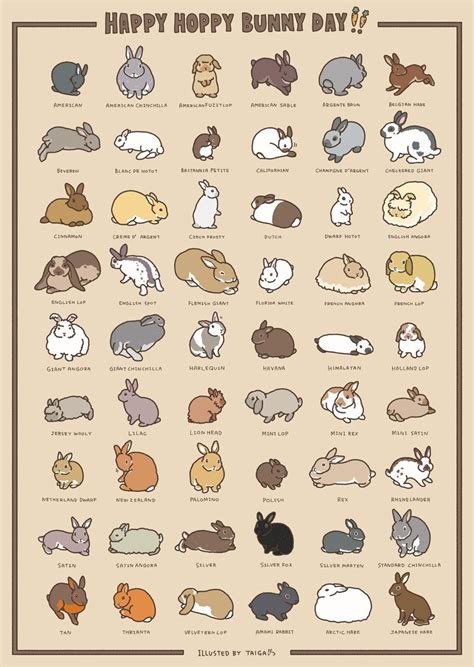 Reference Charts of Bunny Breeds – Ideas for bunnies #rabbitbreeds | Cute baby bunnies, Pet ...