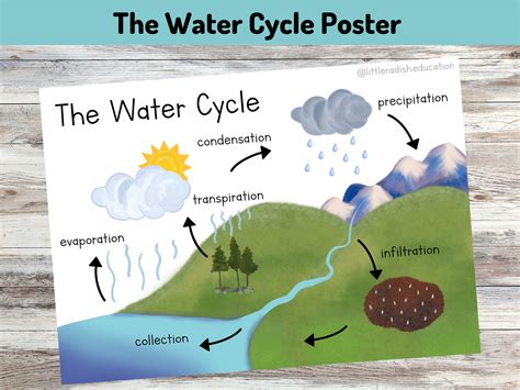 Water Cycle For Kids Worksheets