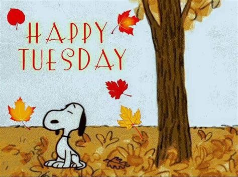 Fall Tuesday | Happy tuesday images, Tuesday quotes, Tuesday greetings