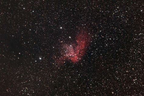 Wizard Nebula through 80mm Telescope