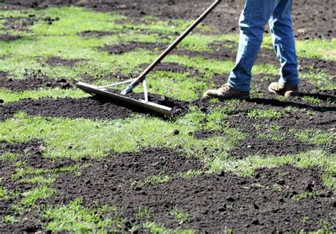 Overseeding Lawn, Lawn Soil, Weeds In Lawn, Diy Lawn, Lawn Care Schedule, Lawn Care Tips ...