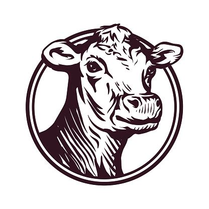 [90] Jersey cow Clipart Vector PNG , SVG, EPS, PSD, AI