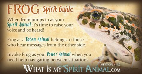 Frog Symbolism & Meaning More Spirit Animal Totem, Animal Spirit Guides, Your Spirit Animal ...