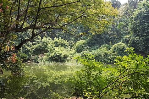 Sanjay Gandhi National Park, India - WorldAtlas