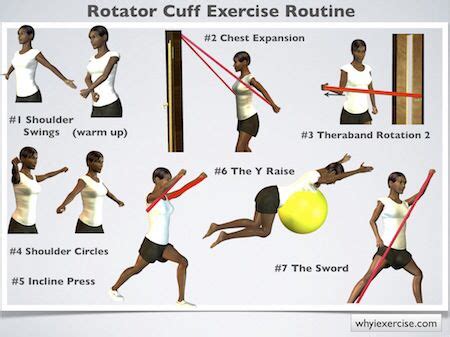 Rotator cuff injury exercises | Rotator cuff exercises, Rotator cuff, Rotator cuff injury exercises