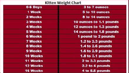 a table with the weight chart for each type of diet