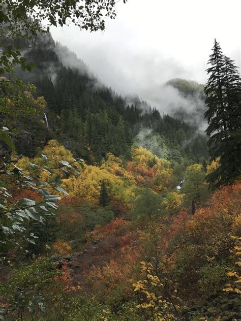 Cascade Mountains- hiking through clouds in the PNW : r/hiking